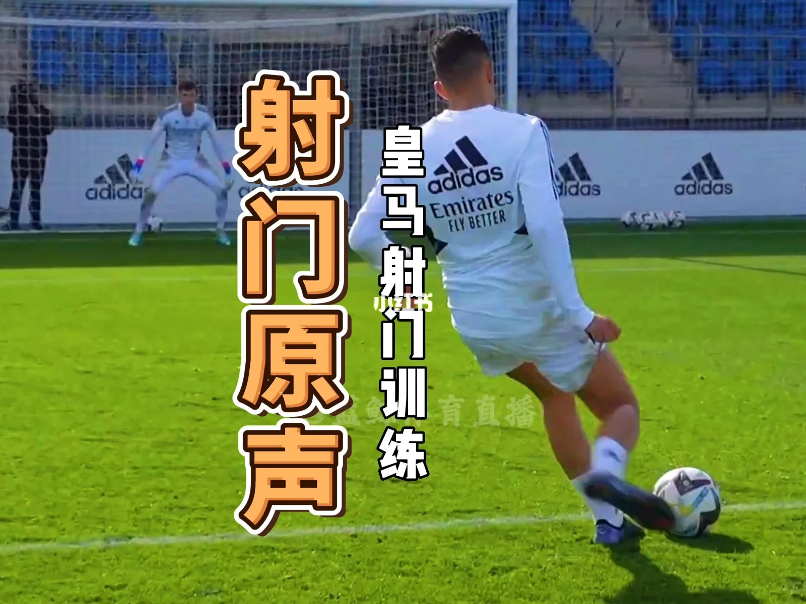 蓝鲸体育直播app下载_(蓝鲸体育直播蓝鲸足球直播)  第1张