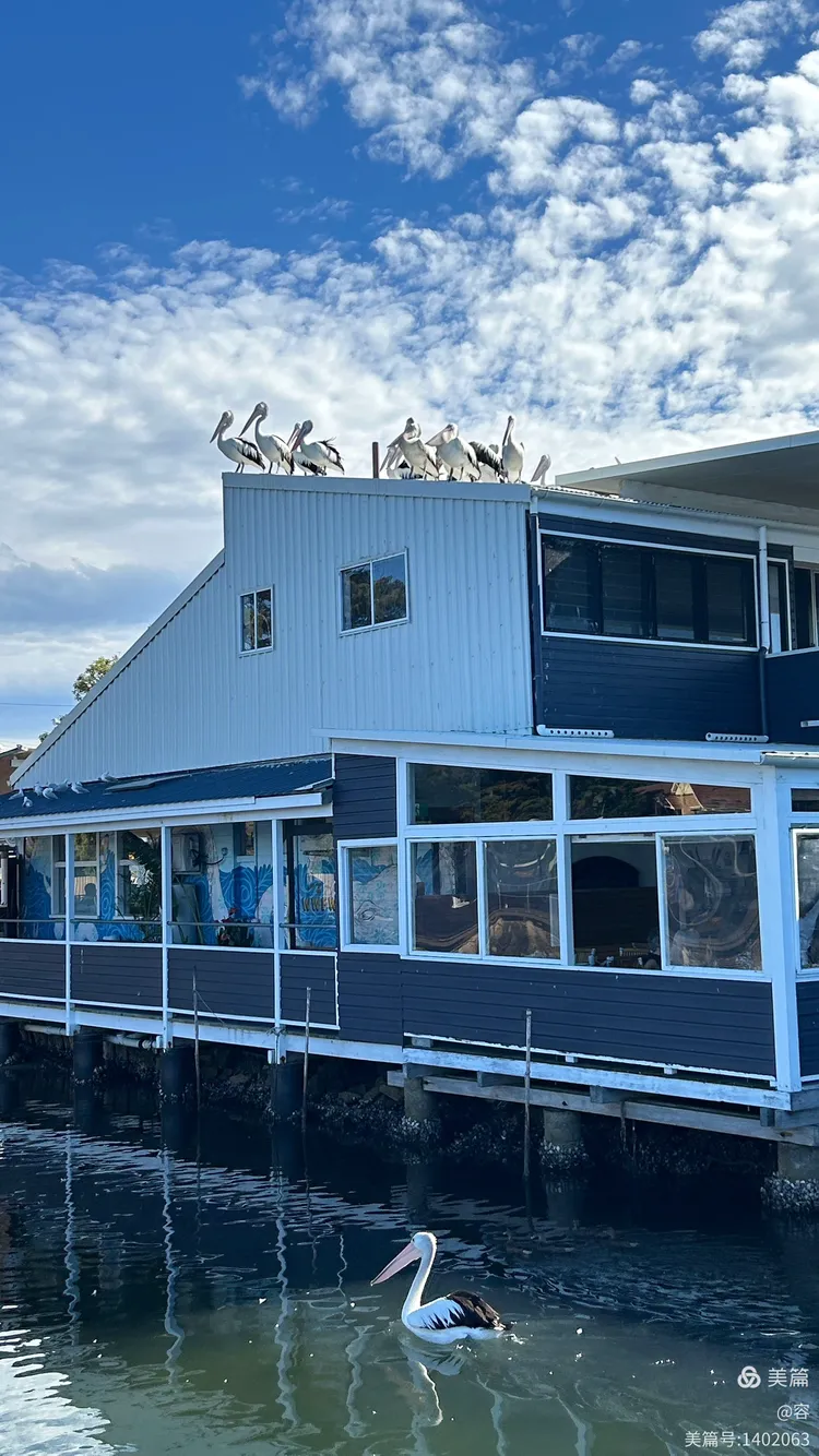 中央海岸_(中央海岸赛程比分500彩票网)  第2张