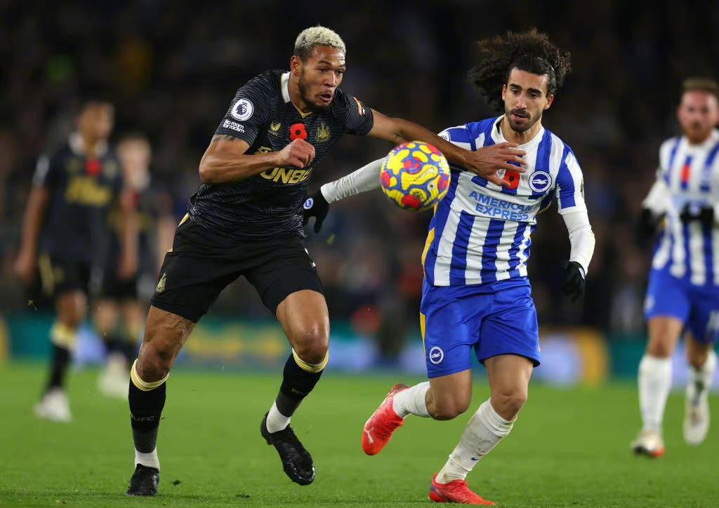 关于莱斯特城VS布莱顿保级VS黑马高清无广告在线观赛的信息