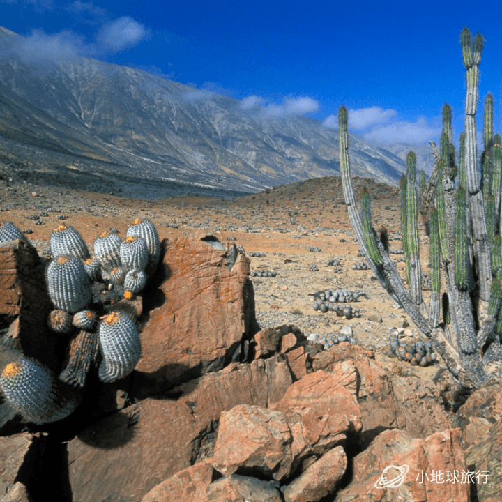 关于智利乙：安图法加斯塔VS迪康塞普森的信息
