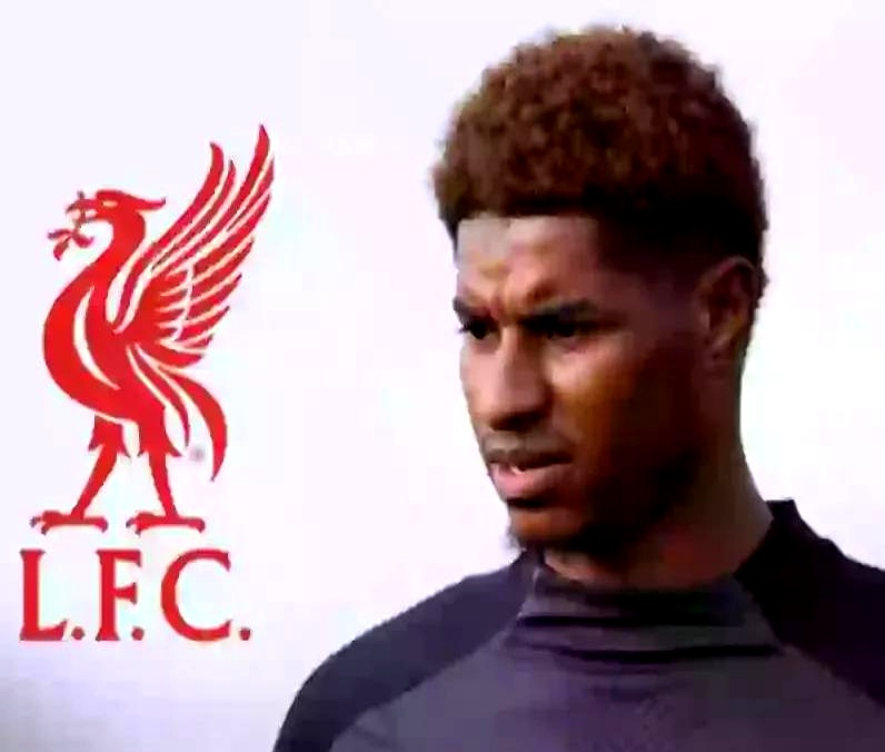 包含英媒：纽卡不想卖伊萨克利物浦有意引进的词条  第1张