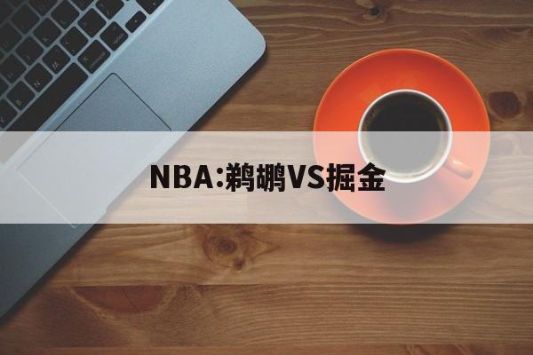 关于NBA:鹈鹕VS掘金的信息  第1张