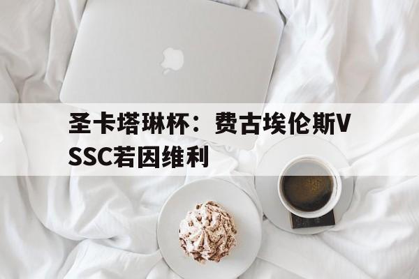 圣卡塔琳杯：费古埃伦斯VSSC若因维利的简单介绍  第1张