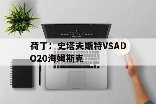 荷丁：史塔夫斯特VSADO20海姆斯克的简单介绍  第1张