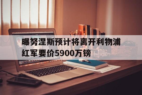 曝努涅斯预计将离开利物浦红军要价5900万镑的简单介绍